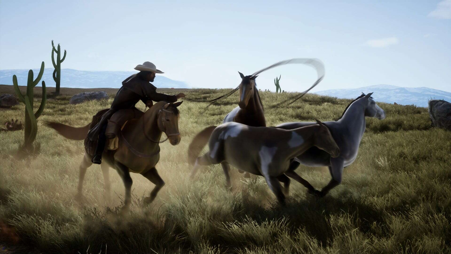 Cowboy riding horse and swinging lasso to catch three wild horses in grassy desert