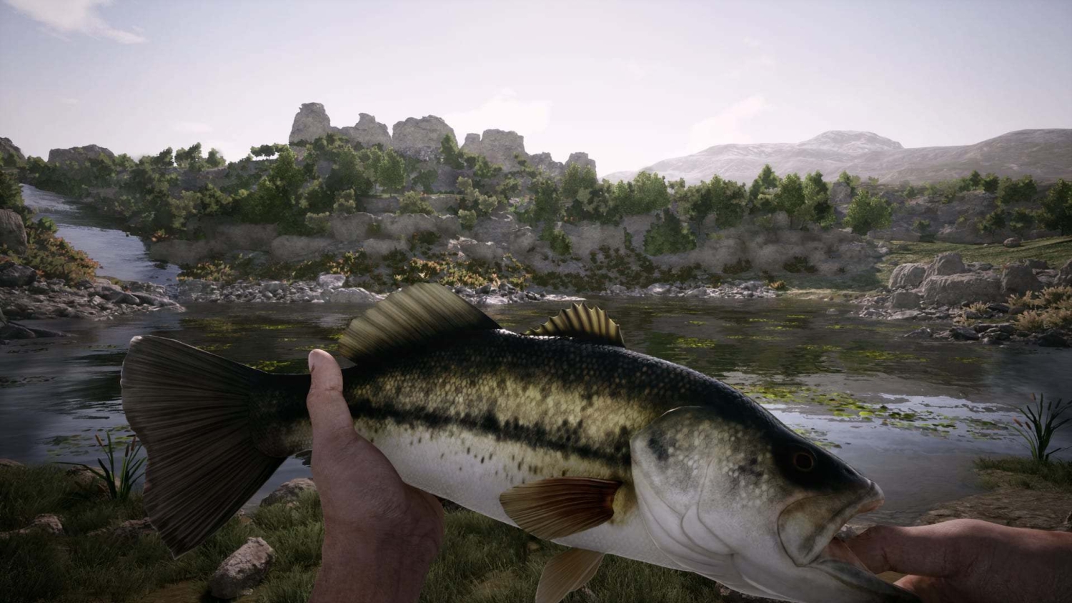 Two hands holding a freshly caught fish by a rocky river with trees and hills in the background
