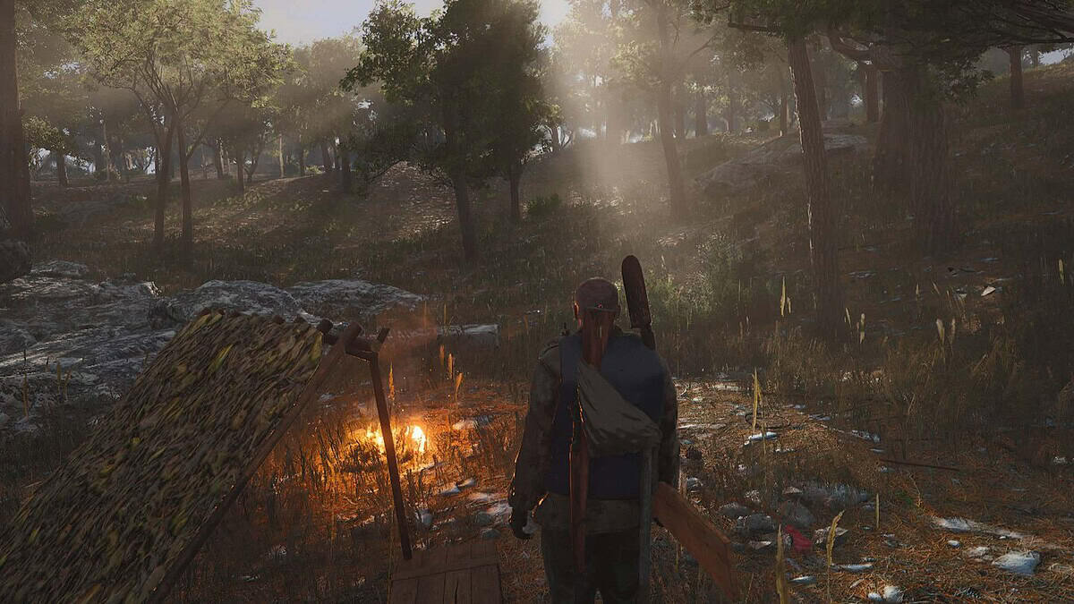 Player character stands near a small campfire beside a rustic shelter in a dense forest with sunlight shining through trees