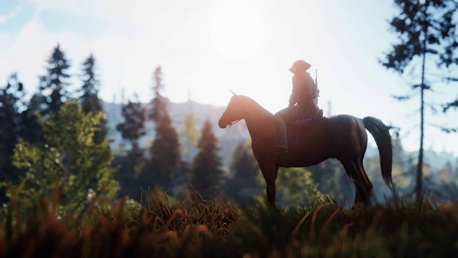 Person riding a horse through a sunlit forest clearing with tall trees in the background