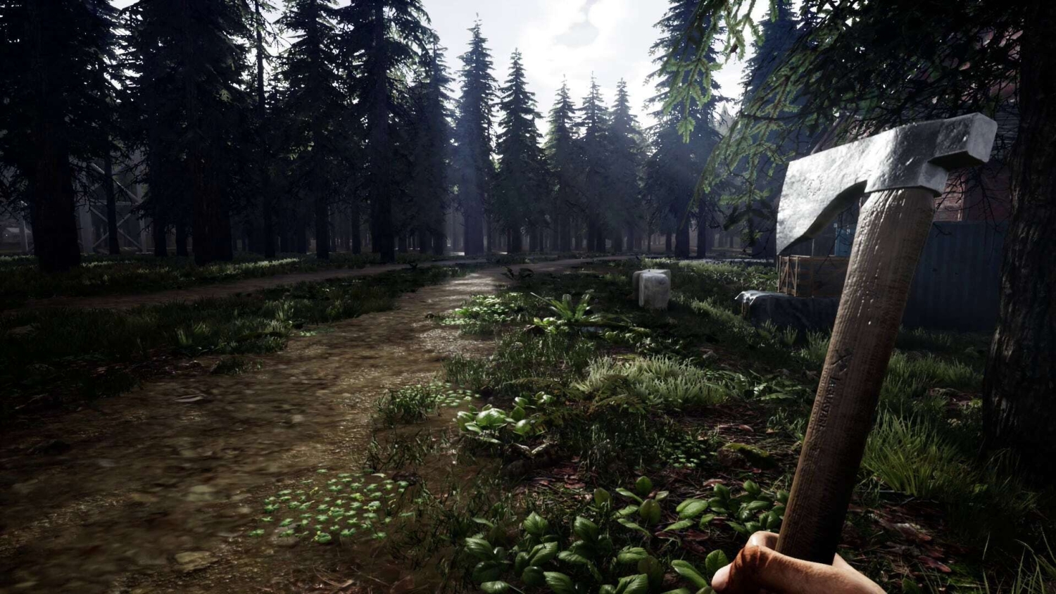 First-person view holding a worn axe on a muddy forest path surrounded by dense pine trees and undergrowth