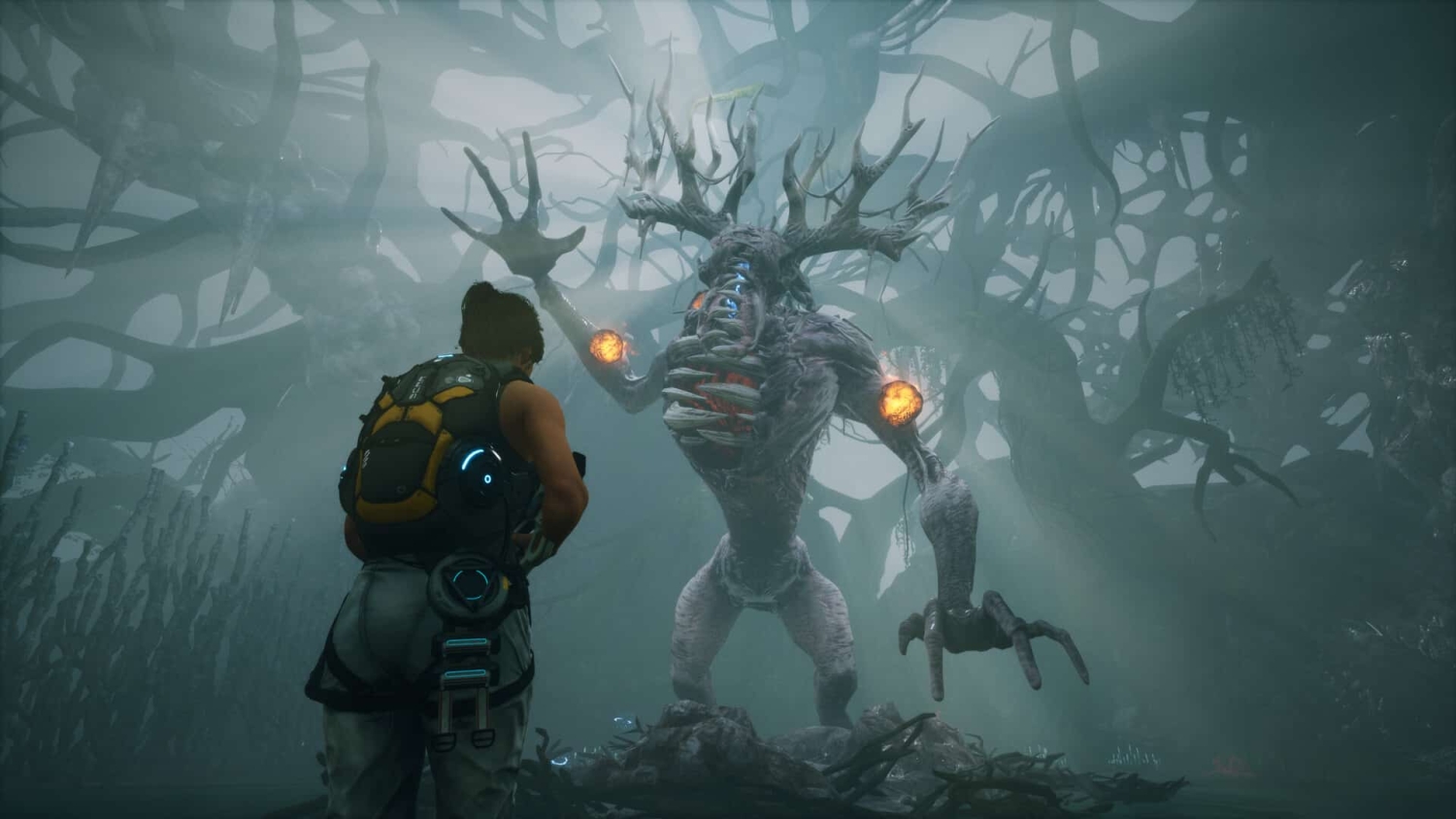 Character faces a towering tree-like creature with glowing orange fists in a misty, twisted forest