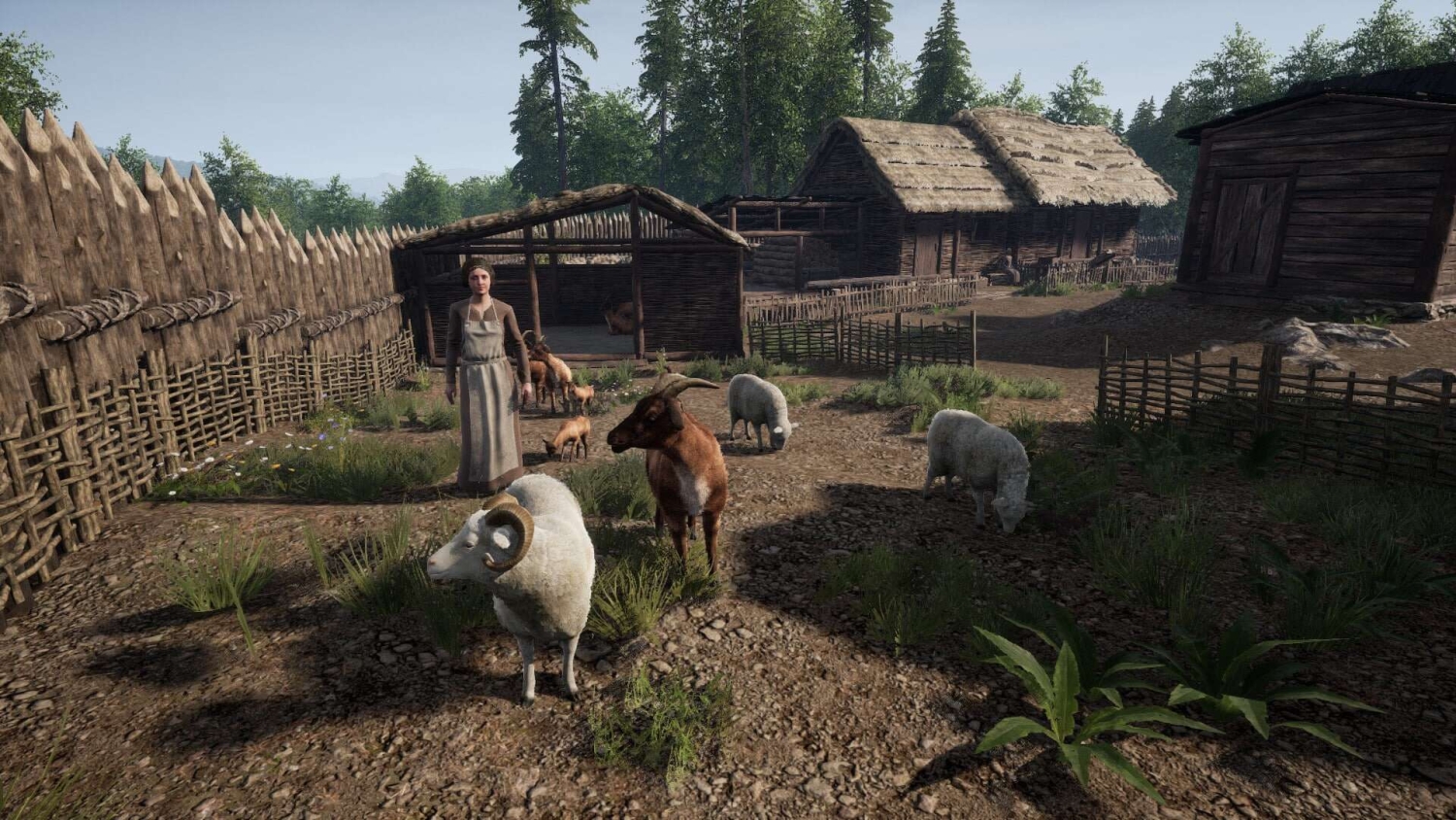 Person standing inside a medieval farmyard surrounded by sheep and goats near wooden buildings