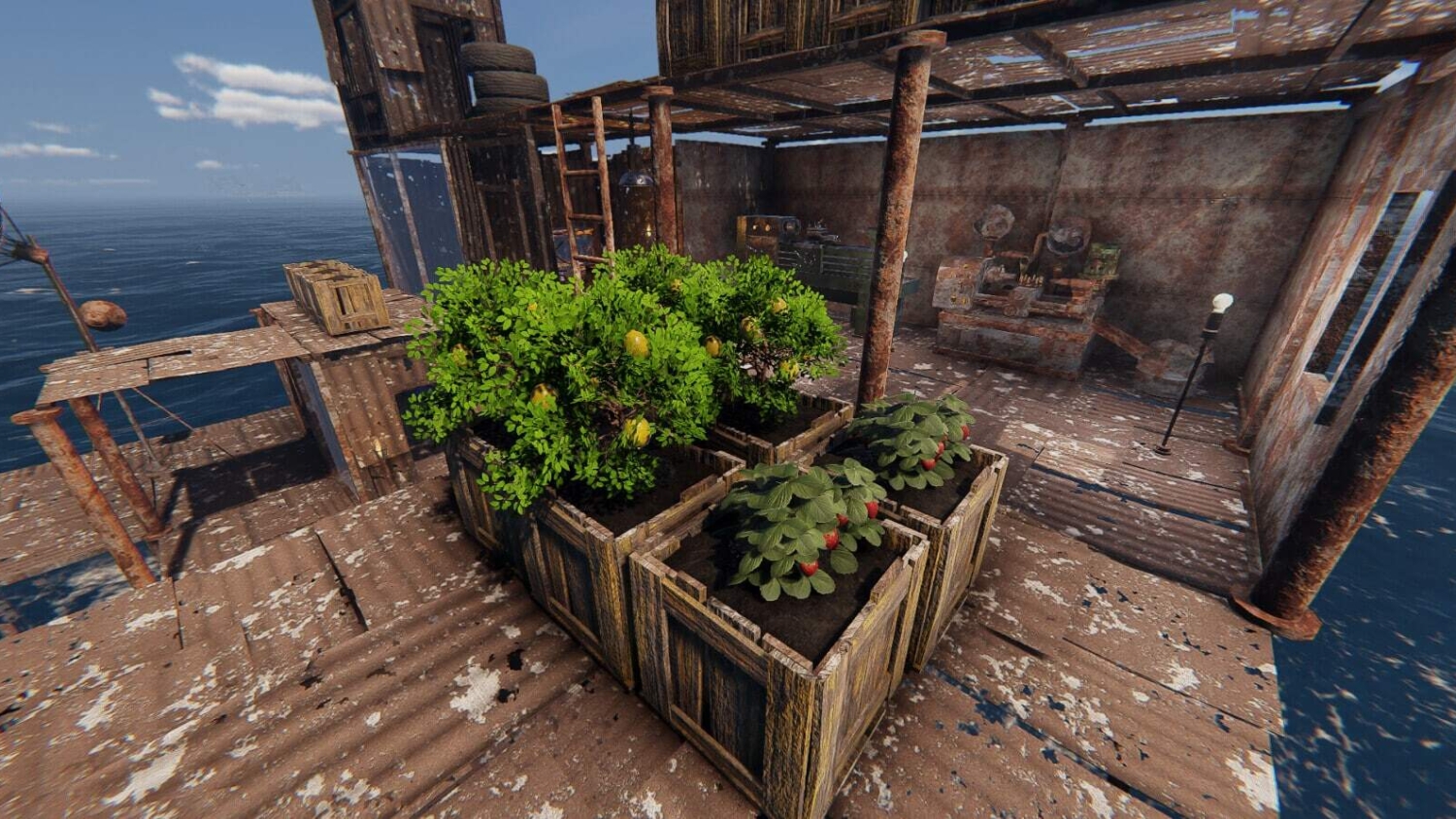 Wooden planter boxes with lemon and strawberry plants on a rusty metal platform by the sea