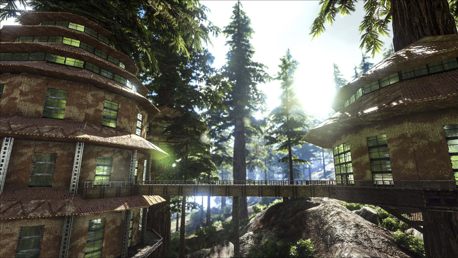 Two round multi-storey buildings linked by a wooden bridge in a sunlit forest with tall evergreen trees