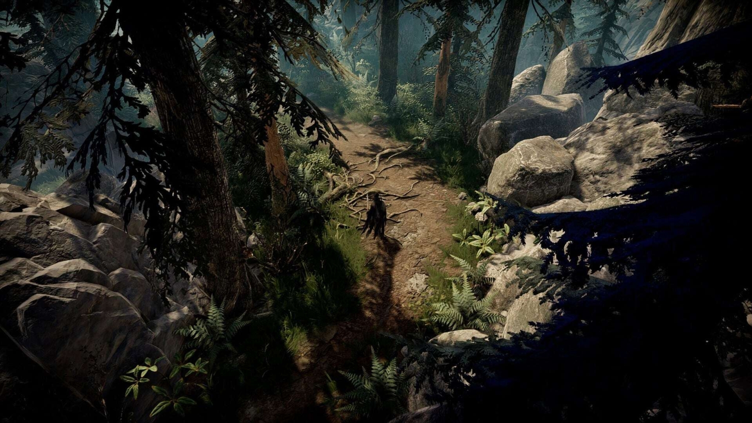 A dark figure standing on a forest path surrounded by tall trees, rocks, and dense foliage